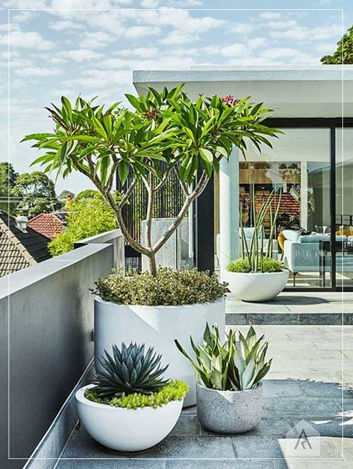 Modern Pots & Planters That Will Last For Years