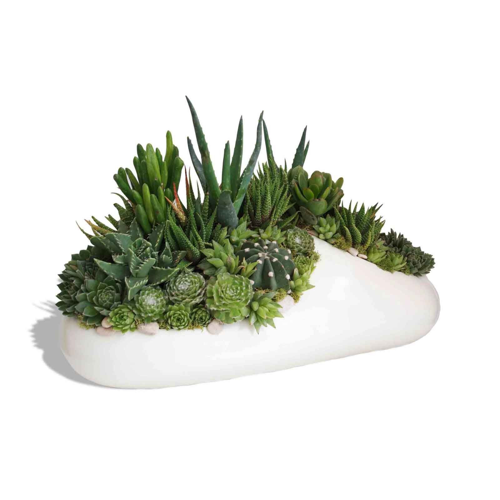 Succulent Planter - Fiberglass
