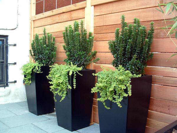 How To Use Large-Scale Design Elements In Any Landscape